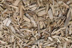biomass boilers Tregada