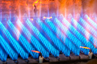 Tregada gas fired boilers